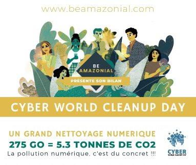 Infographie Grand Ménage Numérique de Be Amazonial